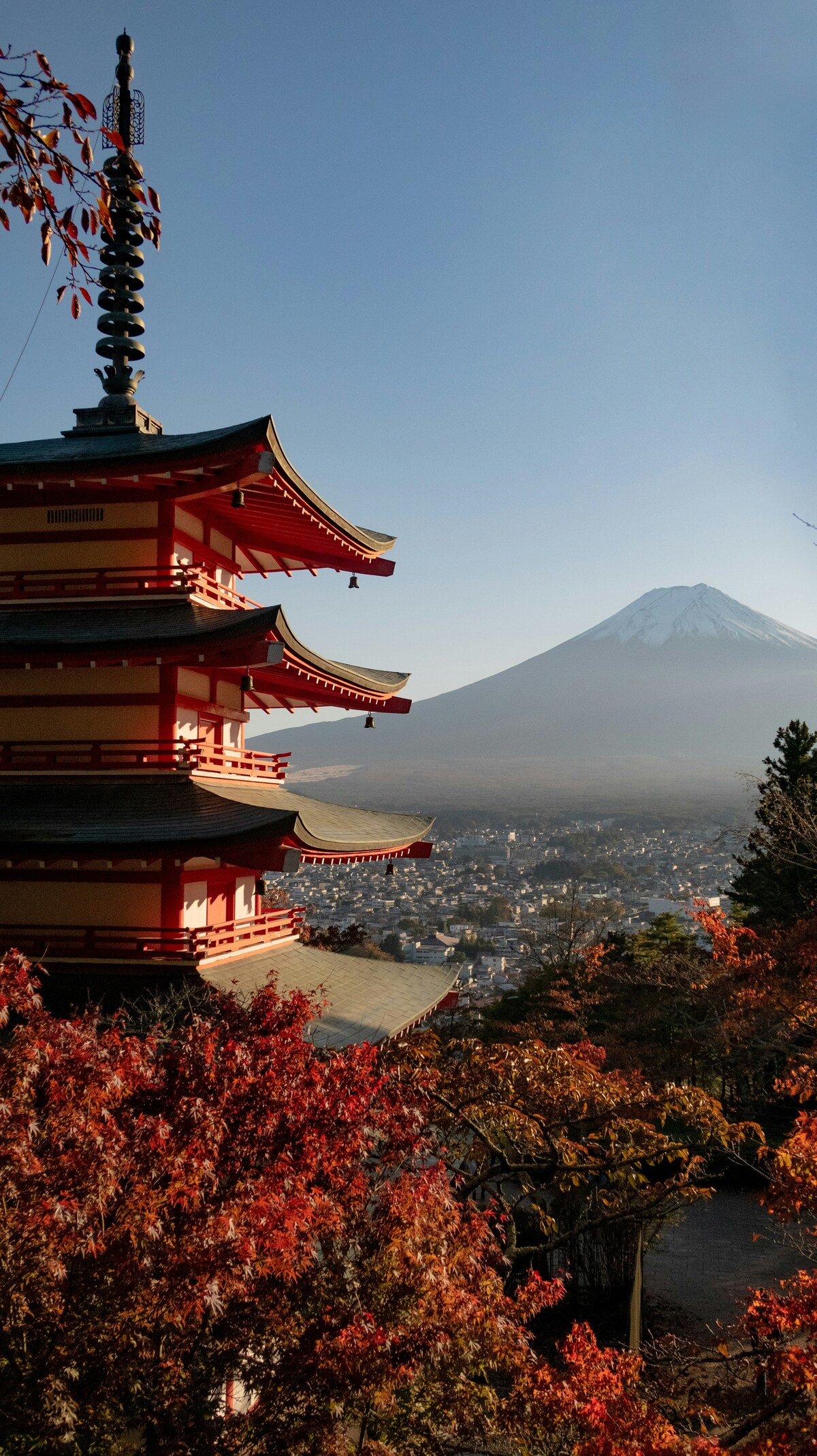 秋の景色