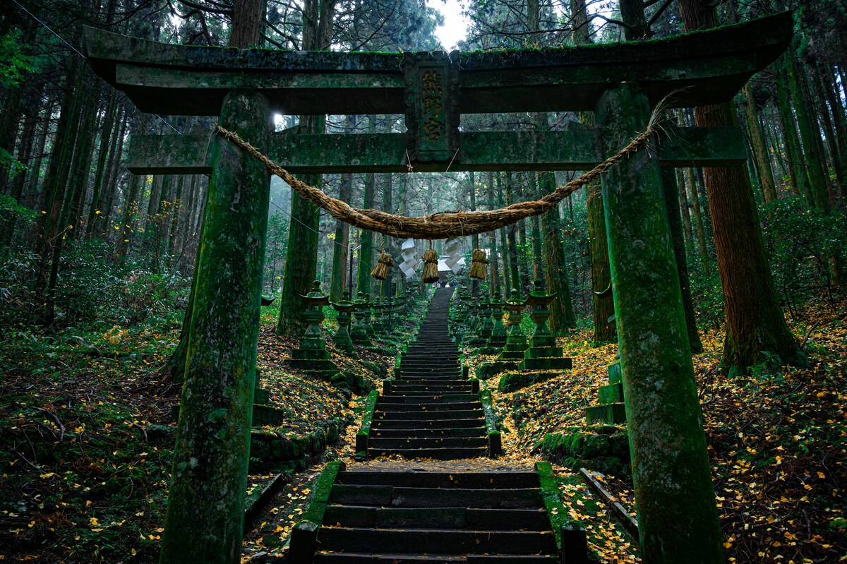 苔の参道